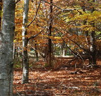 RJ Hamer Arboretum - Local Tourism