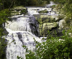 Agnes Falls Scenic Reserve - Accommodation Australia 0