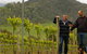Grampians Estate - thumb 0