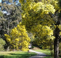 Wattle Park - Local Tourism