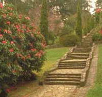Maroondah Reservoir Park - Local Tourism