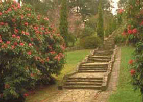 Maroondah Reservoir Park - Accommodation Australia 0