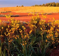Royal Botanic Gardens Victoria Cranbourne