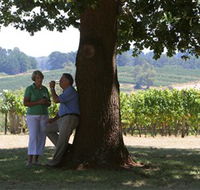 Five Oaks Vineyard - Accommodation Australia