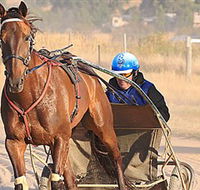 Ballarat  District Trotting Club - Accommodation Australia