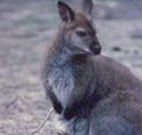 Churchill National Park - Local Tourism