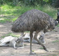 Bundoora Park - Accommodation Australia