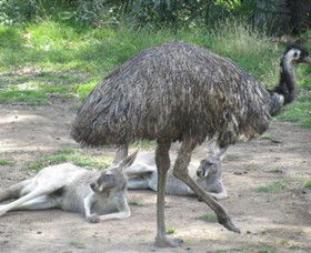Bundoora Park - Accommodation Australia 0