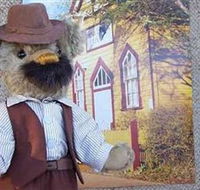 Stanley Bears - Accommodation Australia
