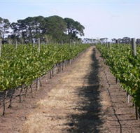 Mount Beckworth Wines - Local Tourism