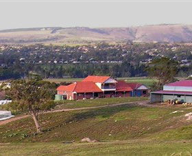 Bacchus Hill Winery - Accommodation Australia 0