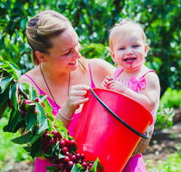 Cherryhill Orchards - Accommodation Australia