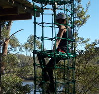 Trees Adventure Shoalhaven - Local Tourism