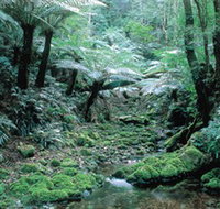 Deua National Park - Accommodation Australia