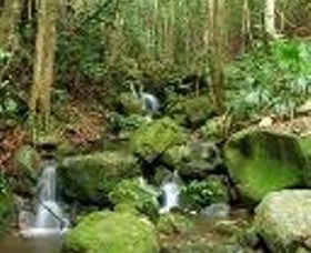 Budderoo National Park - Accommodation Australia 0