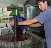Fern Gully Winery - Local Tourism