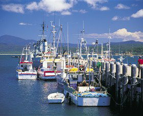 Wonboyn North NSW Accommodation Australia