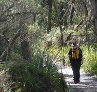 Barren Grounds Nature Reserve - Local Tourism