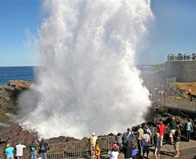 Kiama Blowhole - Accommodation Australia 0