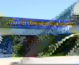 Treasures From The Deep - Opal And Shell Museum - Accommodation Australia 0
