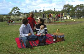 Blackbutt Forest Reserve - Accommodation Australia 0