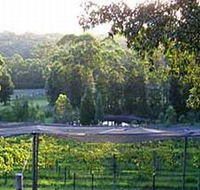 Lyrebird Ridge Organic Winery - Local Tourism