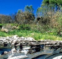 Abrahams Bosom Reserve - Local Tourism