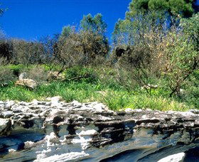 Abrahams Bosom Reserve - Accommodation Australia 0