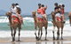 Camel Rides With Coffs Coast Camels - thumb 0