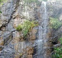 Wedding Bells Forest Drive - Accommodation Australia