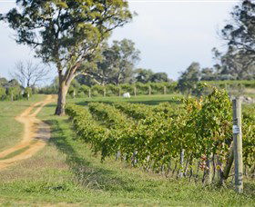 Shaw Vineyard Estate - Accommodation Australia 1