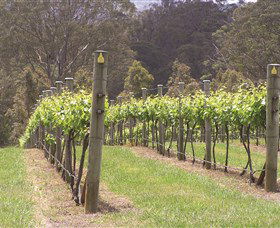 Diamond Creek Estate Cellar Door - Accommodation Australia 2