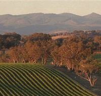 Angullong Wines - Local Tourism