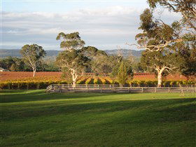 Top Note Vineyard - Accommodation Australia 0