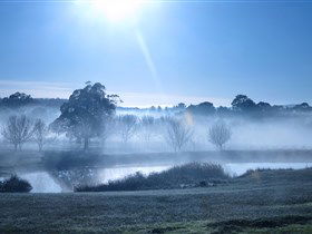 Top Note Vineyard - Accommodation Australia 3