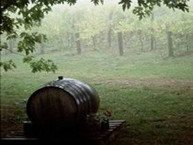 Arranmore Wines - Accommodation Australia 2