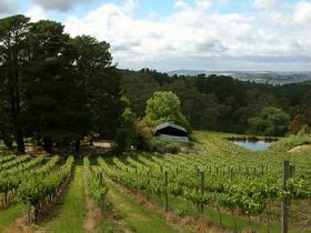 Arranmore Wines - Accommodation Australia 0