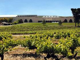 Taylors Wines - Local Tourism 0
