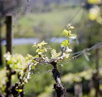 Mount Cole WineWorks - Accommodation Australia