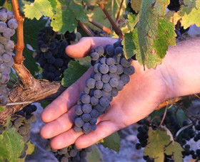Eagles Rise Wine - Accommodation Australia 0