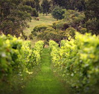 Merindoc Cafe and Cellar Door