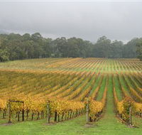 Boat O'Craigo Wines - Accommodation Australia