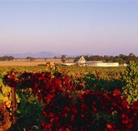 Morris Wines - Accommodation Australia