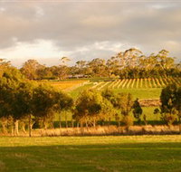 Gosling Creek - Australia Shopping