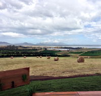 The Hazards Vineyard - Devil's Corner - Local Tourism