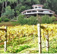 Peveril Vineyard/Beechy Berries - Accommodation Australia
