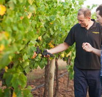 Fratin Brothers Vineyard - Accommodation Australia