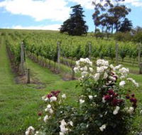 Pembroke Estate Vineyard - Accommodation Australia