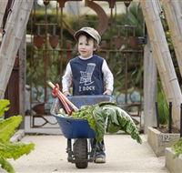 Royal Botanic Gardens Victoria - Accommodation Australia