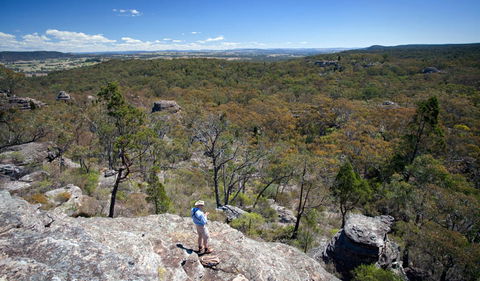 Munghorn Gap Nature Reserve - Accommodation Australia 1
